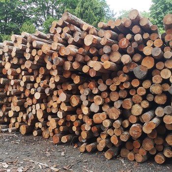 How We Produce Firewood Logs