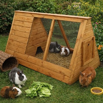 TGB Animal Arc with Run