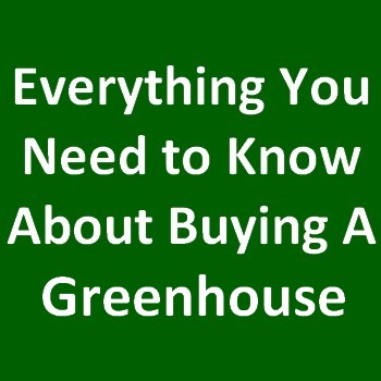 Before Buying a Greenhouse