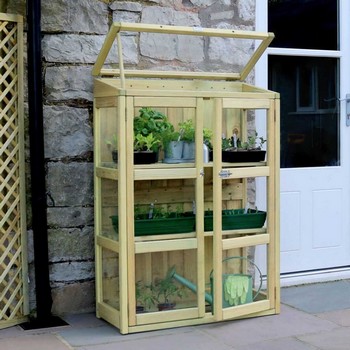 Compact Botanical Greenhouse