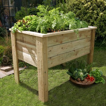 Grow Your Own - <span style='color: #ff0000;'><strong>SALE NOW ON - 10% OFF - Only While Stocks Last!</strong></span> image