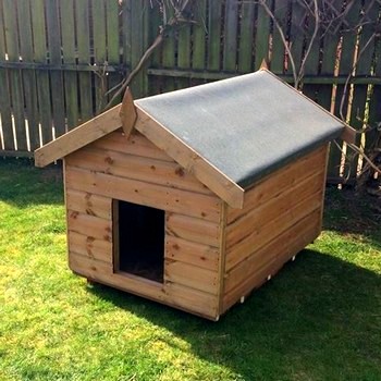 TGB Dog Kennel