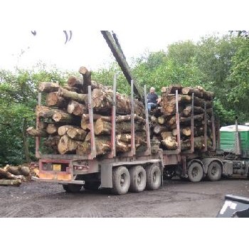 External Timber Supplies