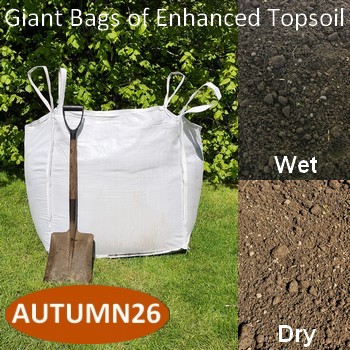 Giant Bag of Enhanced Topsoil