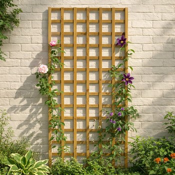 Kingston Square Trellis