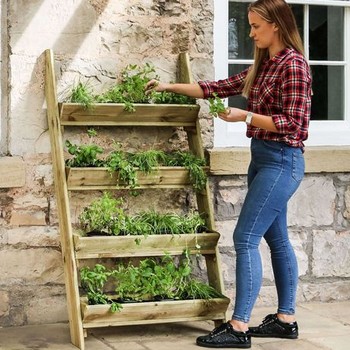 Ladder Planter