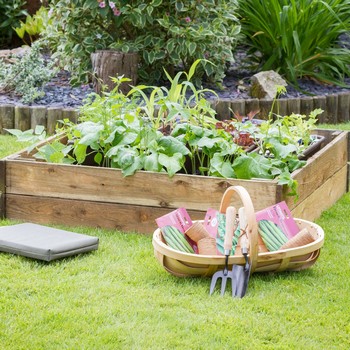 Raised Bed 1m