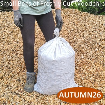 Small Bag of Freshly Cut Woodchip