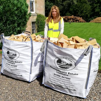 Two Giant Builder's Bag Air-Dried Hardwood Logs