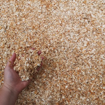 Giant Bag Fine Wood Shavings