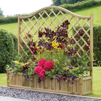 Garden Planters, Climbers