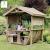 Noah's Arbour