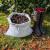 Small Bag of Composted Horse Manure