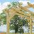 Ascot Pergola